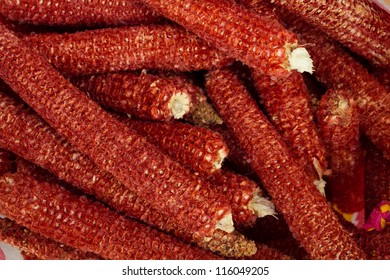 Bare Corn Cob Texture