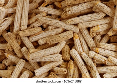 Bare Corn Cobs