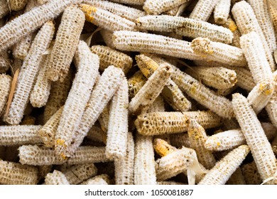 Bare Corn Cobs