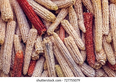 Bare Corn Cobs