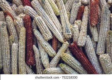 Bare Corn Cobs