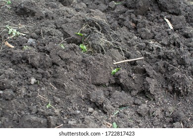 Bare Earth Soil Garden Garden Stock Photo 1722817423 | Shutterstock