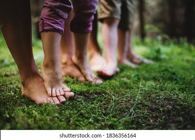 Bare feet of family with small children standing barefoot outdoors in nature, grounding concept. - Shutterstock ID 1836356164