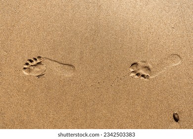 Bare feet foot prints on a sandy beach isolated. - Powered by Shutterstock