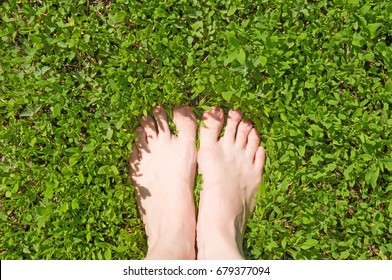 bare feet on green grass in summer