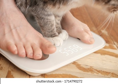 Bare feet and paws of a cat are standing on smart scales that makes bioelectric impedance analysis, BIA, body fat measurement.