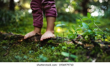 Bare feet of small child standing barefoot outdoors in nature, grounding concept.