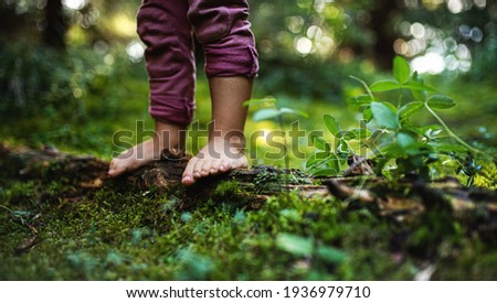 Similar – Image, Stock Photo Recreation in the forest