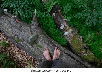 Bare Feet Walking Along The Forest Path Close Up Photo
