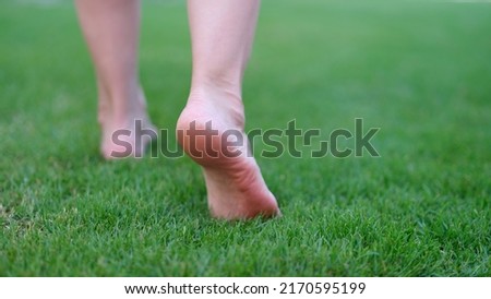 Bare feet walking on green grass in morning closeup
