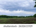 A bare field stretches under a cloudy sky, framed by a treeline on the horizon. Recently plowed earth with the first shoots indicates preparation for a new season, creating a picture of rural nature.