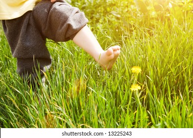 Bare Foot Of Child Over Dandelion