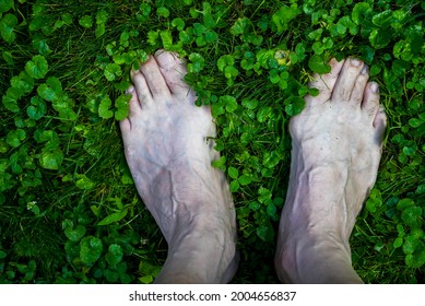 Bare Foot Outside  On Wet Fres Green Grass