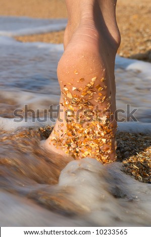 bare foot in sea surf on sand beach