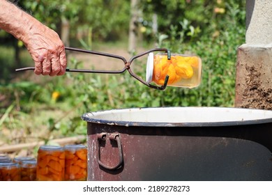 Bare Hand Holding An Old Canning Jar Lifter, Drawing A Jar With Apricot Slices Out Of Boiling Water In A Big Rustic Pot. Bath Canning Fruits Outside. Winter Supplies Preparation Concept.