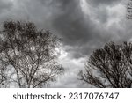 Bare leafless tree branches against the background of a black thundercloud on a gloomy overcast gray day. Awesome depressive landscape during a storm