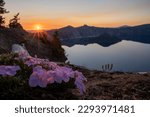 Bare Rim of Crater Lake with Phlox Blossoms at Sunset along the Garfield Peak Trail