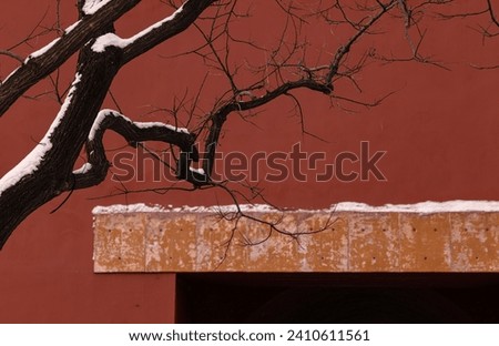 Bare tree against red wall with snow. Forbidden City, Beijing, China