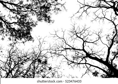 472,676 Abstract black and white background trees Images, Stock Photos ...