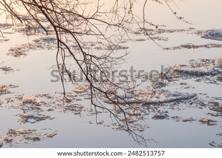 Similar – Image, Stock Photo Melting ice, bare branches reflected in the water
