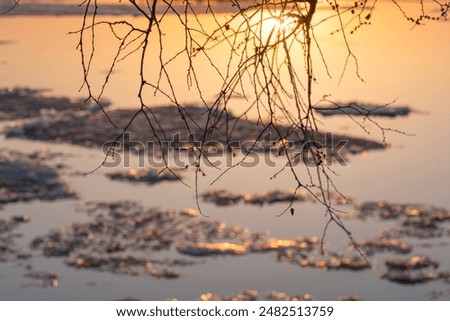 Similar – Image, Stock Photo Melting ice, bare branches reflected in the water