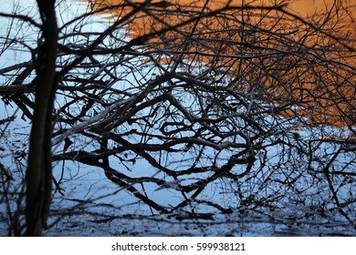 Bare tree branches in water, reflected and silhouetted in the sunset light in a pond in Connecticut, USA