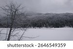 Bare Tree Overlooking Snowy Mountain and Frozen Lake
