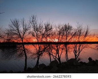 Bare trees against the backdrop of a red sunset near the river