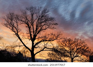 Bare trees against a beautiful sunset. Beautiful landscape. silhouette of bare tree against sunset - Powered by Shutterstock