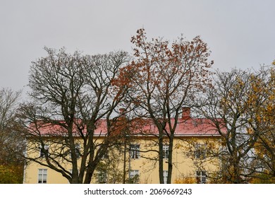 Bare Trees And Bright Yellow House In The Fall