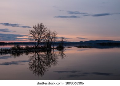 bare trees can be seen reflected in a glass like lake during spring flooding, in the background is a sunset with mountains