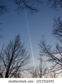 Bare Trees With A Plane Tale