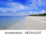 barefoot beach flordia