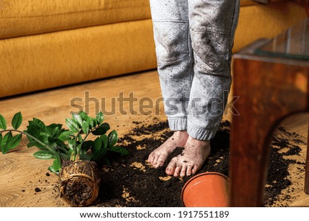 Barefoot child standing on the ground scattered from a flowerpot. High quality photo