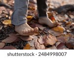 barefoot child walks through colorful fallen dry leaves in an autumn park. carefree childhood, freedom, relaxation, walking, enjoying the warm autumn. exercises for healthy feet. Indian summer.