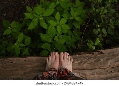 Barefoot in the forest, female legs without shoes on the logs, care and health of the feet, rest, relax, veins protrude, too visible - Powered by Shutterstock