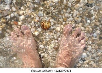 Barefoot Man With His Feet In The Sea Water Above Many Shells