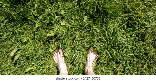 Barefoot On The Grass POV. Bare Feet On The Grass POV.