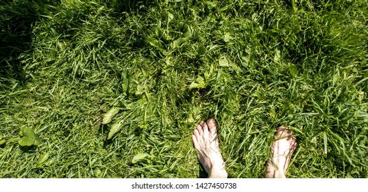 Barefoot On The Grass POV. Bare Feet On The Grass POV.