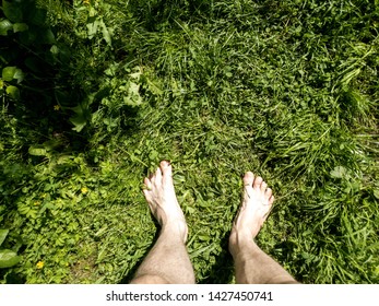 Barefoot On The Grass POV. Bare Feet On The Grass POV.