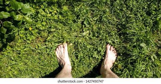 Barefoot On The Grass POV. Bare Feet On The Grass POV.