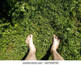 Barefoot On The Grass POV. Bare Feet On The Grass POV.