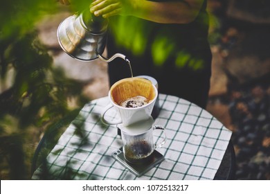 Barista Brewing Coffee, Method Pour Over, Drip Coffee. In The Garden