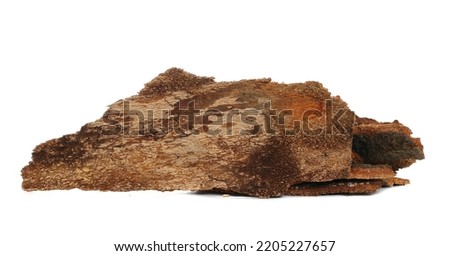 Bark of beech tree, pile isolated on white
