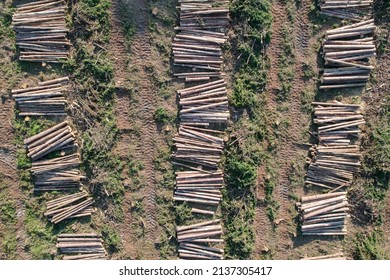 bark beetle calamity, piloes of wood, logs in the forest after it was cut down, forest harvest,Vysocina,Highlands, Czech republic aerial panorama view,ecosystems destroyed