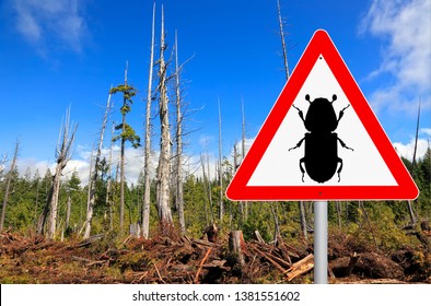 Bark beetle road attention sign 