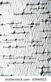 bark of birch in the cracks texture