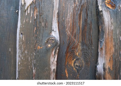 Bark Of Cedar Tree Texture Background
