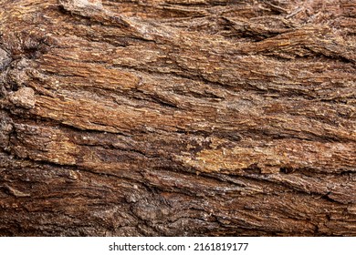 Bark Of Cedar Tree Texture Background,dry Tree Texture,Texture Of Wood
