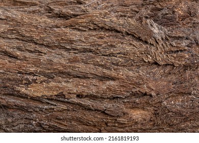 Bark Of Cedar Tree Texture Background,dry Tree Texture,Texture Of Wood
